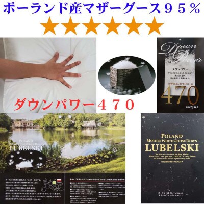 【訳あり】シングル 羽毛布団 二層式 ポーランド産マザーグース95% ダウンパワー470