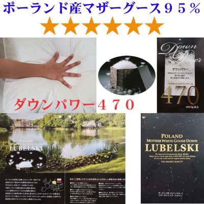 羽毛布団 ダブル 100番手 ポーランド産マザーグース95%ダウンパワー470 掛け布団