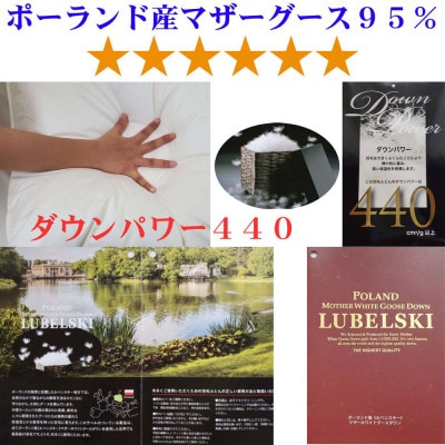 羽毛掛け布団 シングル 100番手 ポーランド産マザーグース95% 羽毛布団