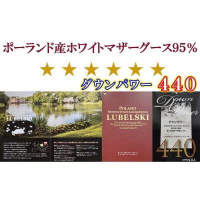 羽毛掛け布団 セミダブル 100番手 ポーランド産マザーグース95%ダウンパワー440 羽毛布団