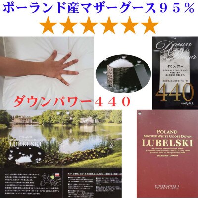 羽毛布団 ダブル 100番手 ポーランド産マザーグース93% ダウンパワー410