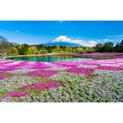 【山梨県富士河口湖町】ふるさと納税旅行クーポン(15,000円分)