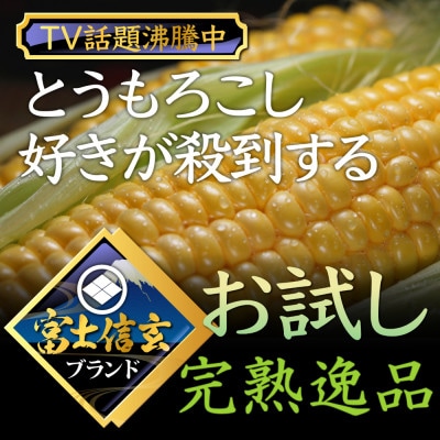 【TV出演で人気爆発】シーズンで1万本売り上げる幻の富士信玄とうもろこし 8月上旬発送