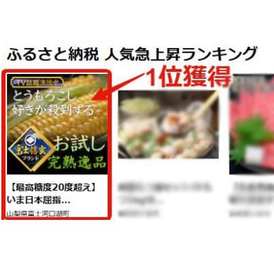 【TV出演で人気爆発】シーズンで1万本売り上げる幻の富士信玄とうもろこし 8月上旬発送
