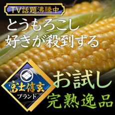 【ここを逃せば1年待ち】人気TV出演で話題沸騰の山梨が誇る幻の富士信玄とうもろこし 8月下旬発送