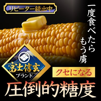 【TBSラヴィット出演】最高糖度20度オーバー幻の<富士信玄とうもろこし>7月下旬発送　約3kg