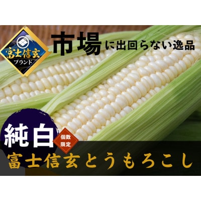 【さとふる人気急上昇1位達成】今までひた隠しにしてきた純白の富士信玄とうもろこし 4本　7月下旬発送