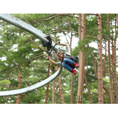 富士すばるランド【ワンデーパス引換券 3名様分】(大人・小人共通)