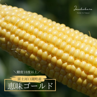 【富士山の麓で育つ】河口湖ブランドとうもろこしInakakara「恵味ゴールド」20本入