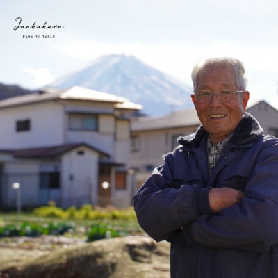 【富士山の麓で育つ】河口湖ブランドとうもろこしInakakara「恵味ゴールド」20本入