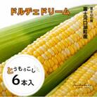 【富士山の麓で育つ】富士河口湖町産　Inakakara「ドルチェドリーム」6本入