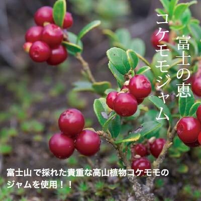 河口湖暮らしのヴィクトリアサンドイッチケーキ　15センチホール / 1