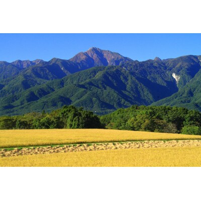 【令和6年産】山梨ふるさと米(白米)10kgセット