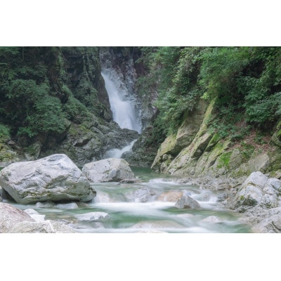 【令和6年産】山梨県北杜市産白州米コシヒカリ(白米)10kg