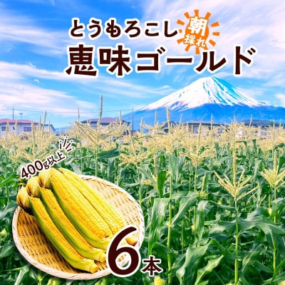 富士山の麓で育った甘いとうもろこし「恵味ゴールド」400g以上×6本 湖南野菜出荷組合 富士河口湖町