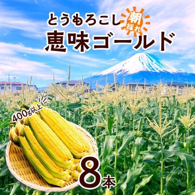 富士山の麓で育った甘いとうもろこし「恵味ゴールド」400g以上×8本 湖南野菜出荷組合 富士河口湖町