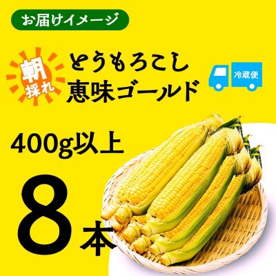 富士山の麓で育った甘いとうもろこし「恵味ゴールド」400g以上×8本 湖南野菜出荷組合 富士河口湖町