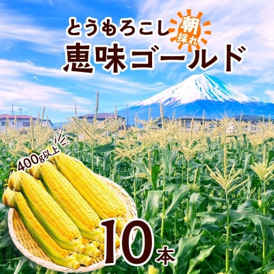 富士山の麓育ちの甘いとうもろこし「恵味ゴールド」400g以上×10本 湖南野菜出荷組合 富士河口湖町