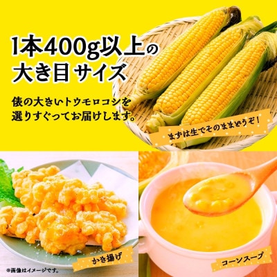 富士山の麓育ちの甘いとうもろこし「恵味ゴールド」400g以上×12本 湖南野菜出荷組合 富士河口湖町