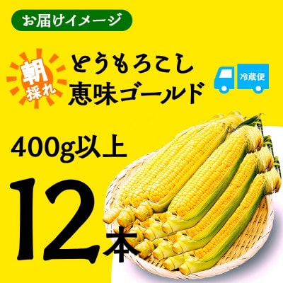 富士山の麓育ちの甘いとうもろこし「恵味ゴールド」400g以上×12本 湖南野菜出荷組合 富士河口湖町
