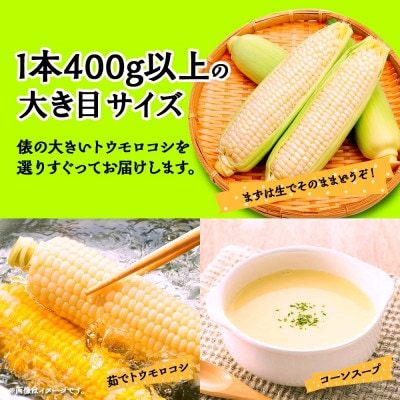 富士山の麓育ちの甘いとうもろこし「白い恵味」400g以上×10本 湖南野菜出荷組合 富士河口湖町