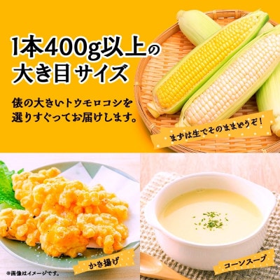 とうもろこし イエロー&ホワイト 2種食べ比べ 恵味ゴールド 白い恵味 各6本 計12本