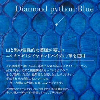 大人の所作を整えるヘビ革マネークリップ・ブルー　BK001
