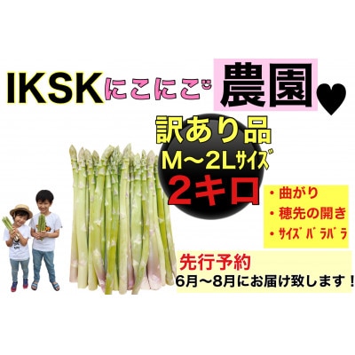 朝採り直送　夏芽グリーンアスパラガス(訳あり品)2kg BT08