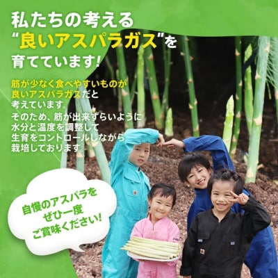 【産地直送】朝採れアスパラ「春芽」 2Lサイズ 1kg《2025年2月中旬から3月下旬発送》BT02