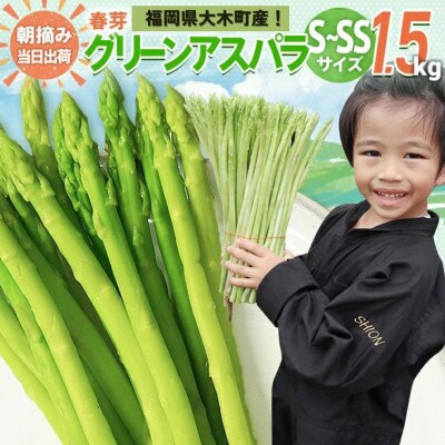 【産地直送】アスパラ「春芽」S～SSサイズ 1.5kg《2025年2月中旬から3月下旬発送》BT13