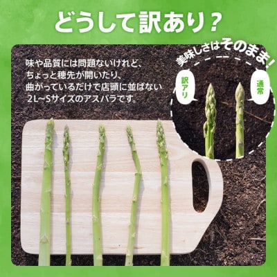 【朝採り直送】夏芽グリーンアスパラガス(訳あり品) 1.5kg  BT08