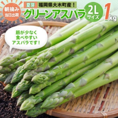 【朝採り直送】夏芽グリーンアスパラガス(2L) 1kg  BT06