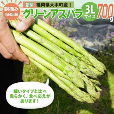 【朝採り直送】夏芽グリーンアスパラガス(3L) 700g BT05