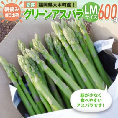 【産地直送】朝採れアスパラ「夏芽」LMサイズ 600g　BT10
