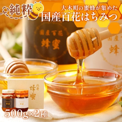 国産蜂蜜ギフト　500g×2本　CD02