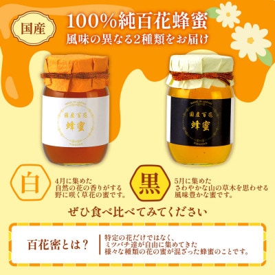 国産蜂蜜ギフト　500g×2本　CD02