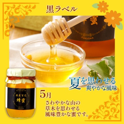 国産蜂蜜ギフト　500g×2本　CD02