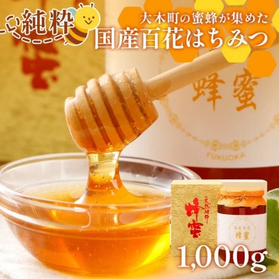 国産蜂蜜ギフト(白)　1,000g　CD01