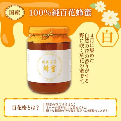 国産蜂蜜ギフト(白)　1,000g　CD01