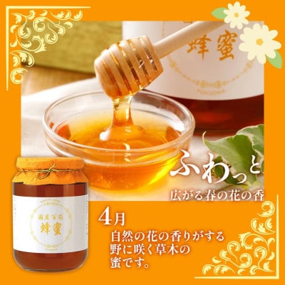 国産蜂蜜ギフト(白)　1,000g　CD01