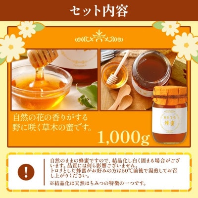 国産蜂蜜ギフト(白)　1,000g　CD01