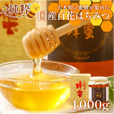 国産蜂蜜ギフト(黒)　1,000g　CD12