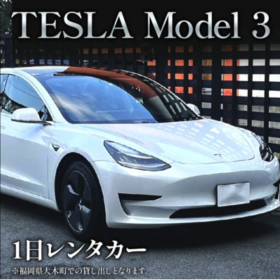 TESLA(テスラ)モデル3のレンタカーでEV(電気自動車)体験&サスティナブル観光!　CD10