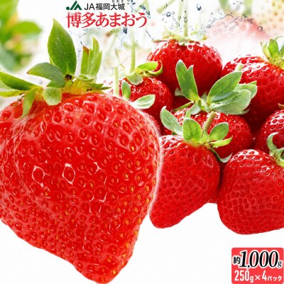 【ふるさと納税】 2027年先行受付 博多あまおう 福岡県JAグループブランド