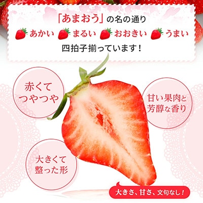 【ふるさと納税】 2025年先行受付 博多あまおう 福岡県JAグループブランド