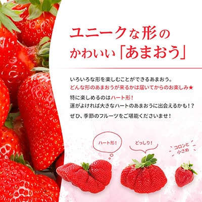 【ふるさと納税】 2025年先行受付 博多あまおう 福岡県JAグループブランド