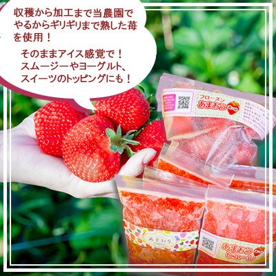 あまおう三昧(フローズンあまおう、あまおうピューレ、あまおうコンフィチュール) BD04