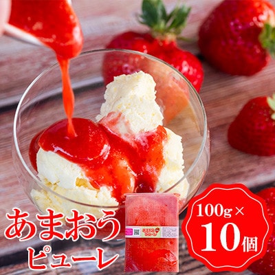 あまおうピューレ100g×10個 BD09