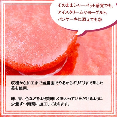 あまおうピューレ100g×10個 BD09