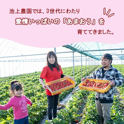 あまおうコンフィチュール120g×5瓶 BD12
